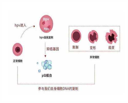子宫前位和后位有什么区别?~代妈50万
