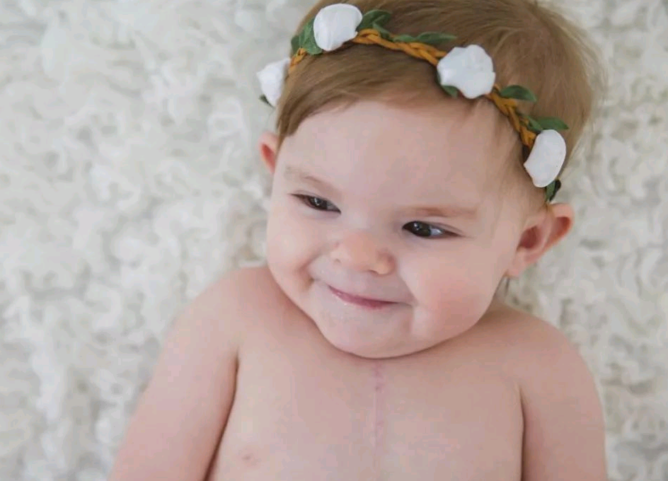 受精过程中多精入卵的后果，防止多精子入卵的方法~代怀中介网