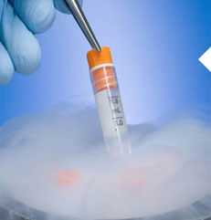 取卵后黄体酮怎么打？自己也能注射~哪里招聘捐卵